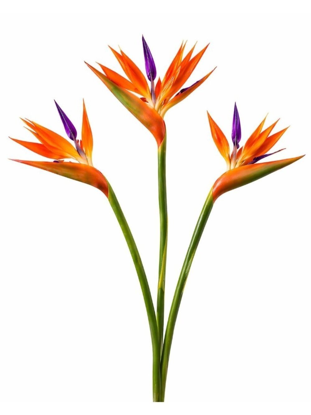 Artificial Bird of Paradise Flowers Realistic Strelitzia 3 Stem Bundle - Picture 3 of 9